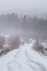 Fototapeta premium Very late winter foggy scene in Gauja National Park in Latvia in the end of February