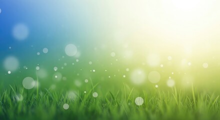 Obraz premium Sunlit green grass with dew drops and bokeh effect