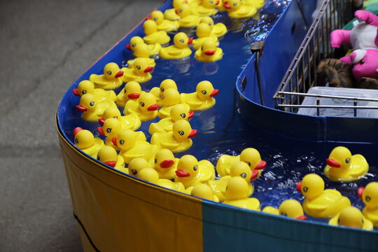 Night Carnival at Ohio State Fair with Neon Rides and Colorful Lights