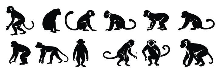 monkey silhouette flat illustration set © Eocksk