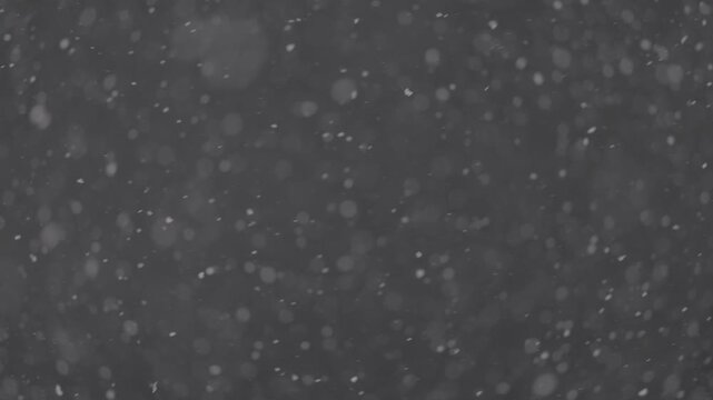 Slow motion falling snow particles on background, cinematic winter atmosphere with dense blizzard effect, swirling flakes, bokeh for overlays. ProRes 422, 10 bit ungraded C-LOG2, Slow motion video.