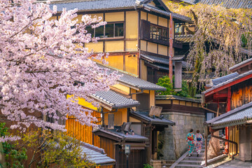 Traditional Japanese tiled roofs and wooden eaves against blooming weeping cherry blossoms in Kyoto