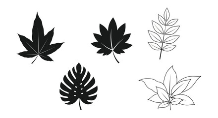 Black and white illustration of various leaf shapes a striking silhouette © mst