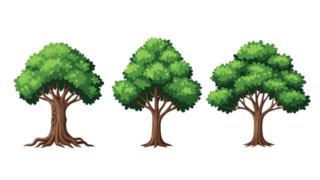 Three different types of lush green trees with thick trunks are shown in a row, representing a variety of forest vegetation.