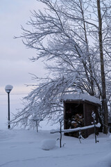Winter landscape with woodpile on lake shore