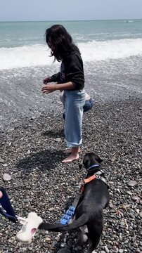 Sisters playing with puppy on pebble beach with ocean waves