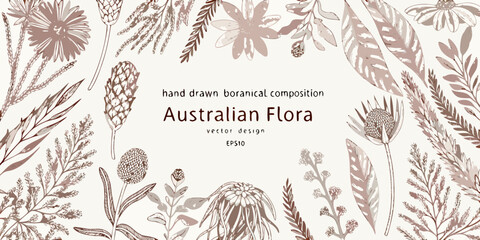 Hand drawn botanical illustration featuring australian flora and foliage © NaderAli