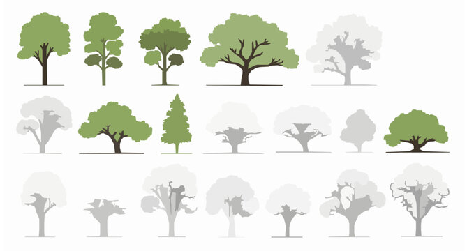 Tree elevation vector set with botanical landscape elements and architectural tree symbols isolated on white