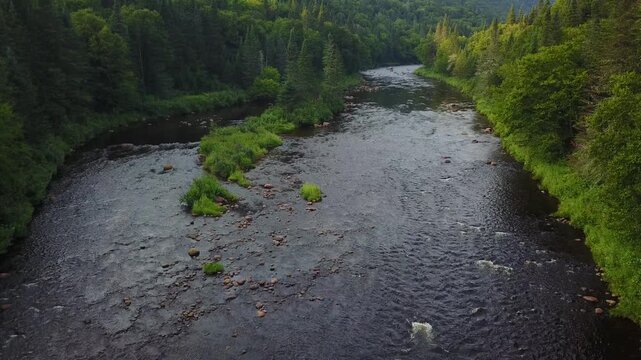fleuve Saint-Laurent dans le parc national de la Mauricie au Canada