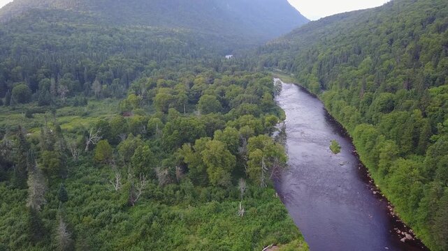 fleuve Saint-Laurent dans le parc national de la Mauricie au Canada