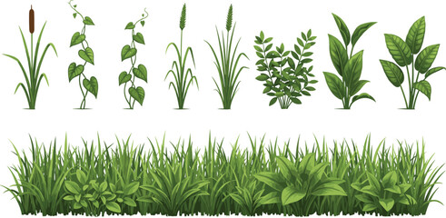 Realistic Green Grass and Wild Plants Vector Set with Meadow Foliage, Garden Herbs, and Natural Botanical Elements Isolated on White Background © Priyanka