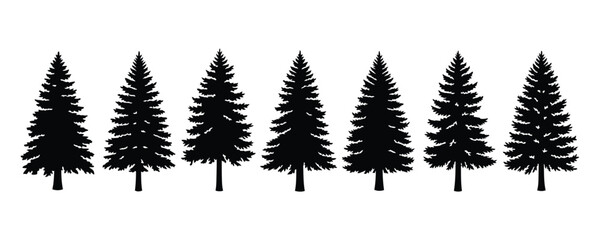 Seven black silhouettes of evergreen trees on white background © ali mithu