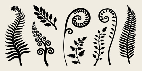 Black silhouettes of various fern fronds and leafy botanical elements © Nasir