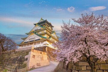 Osaka Castle  with blooming sakura in the foreground