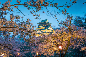 Osaka Castle  with blooming sakura in the foreground
