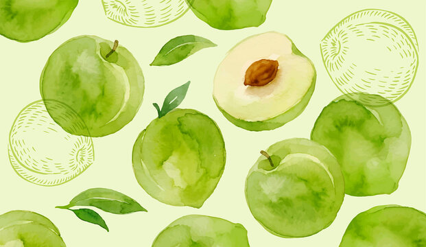 Watercolor Green Plum Seamless Pattern with Leaves Botanical Fruit Illustration