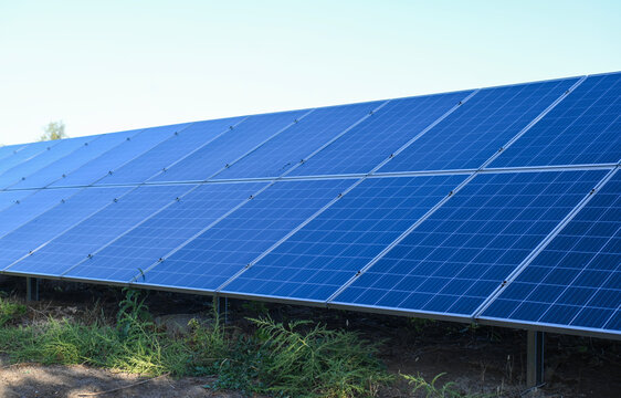 Solar panels arranged in rows on land capturing solar energy, blue photovoltaic panels with sunlight reflecting, renewable energy system in open field, solar power technology concept