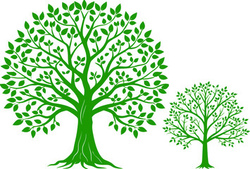 A comparison illustration of a large mature tree and a smaller young tree.