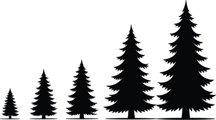 Fototapeta premium Collection of black pine tree silhouettes in various sizes for forest nature landscape and outdoor adventure logo design elements