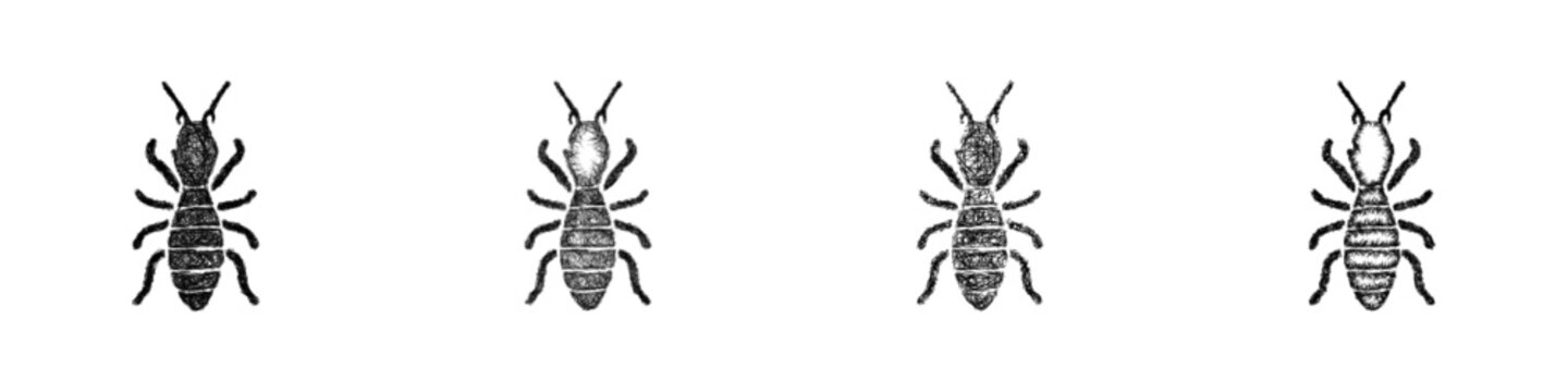 Sketch termite icon design set