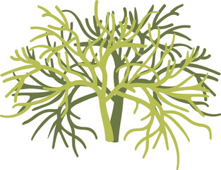 김장속 재료 해조류인 청각