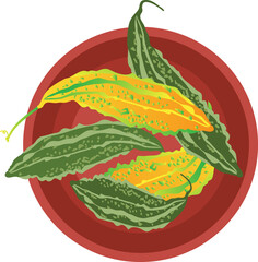 고무다라이에 담긴 천연 수세미 식물