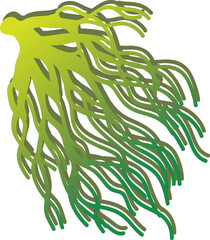 김장속 재료 해조류인 청각