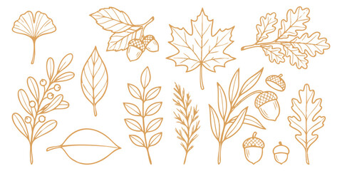 Collection of hand drawn golden autumn leaves and acorns line art vector illustration for seasonal nature design elements © vector Designer