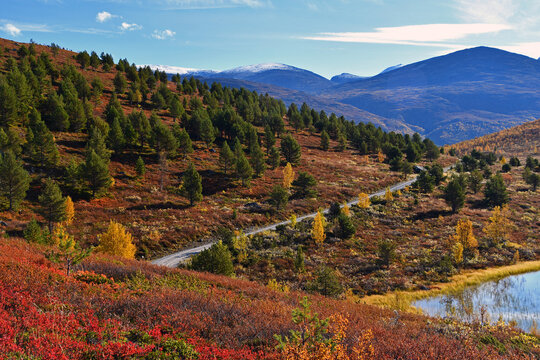 Colorful autumn in Jotunheimen national park in mountains in Norway