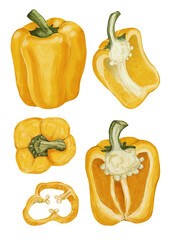 Watercolor yellow bell pepper vegetable set isolated on white background, whole and sliced sweet paprika food illustration
