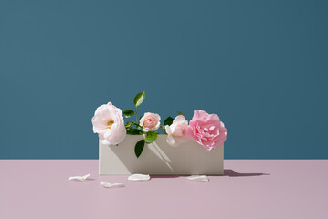 El&eacute;boro, rosas de invierno de color blanco y rosa colocadas sobre una piedra blanca y un fondo azul y rosa