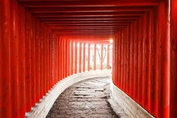 Selbstklebende Fototapeten Torii Tore Red Torii Gates Tunnel at Jintoku Inari Shrine in Kanoya Kagoshima Japan - 日本 鹿児島県 神徳稲荷神社 赤い千本鳥居  © Eric Akashi