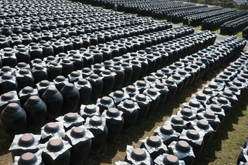 Fototapeta premium Traditional Black Vinegar Jars Tsubobatake Field in Kagoshima, Japan - 日本 鹿児島 黒酢 壺畑