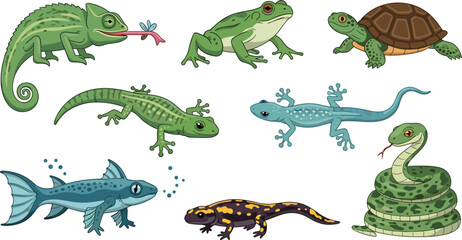 Collection of Green Reptile and Amphibian Vectors Featuring Coiled Snake, Spotted Salamander, Hunting Chameleon with Tongue, Blue Gecko, and Prehistoric Fish for Biology Graphics © Fahim