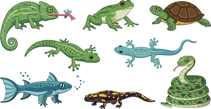 Collection of Green Reptile and Amphibian Vectors Featuring Coiled Snake, Spotted Salamander, Hunting Chameleon with Tongue, Blue Gecko, and Prehistoric Fish for Biology Graphics