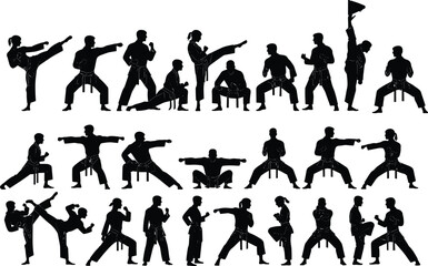 Martial arts fighter silhouettes collection, karate taekwondo training poses, combat action stances, isolated black figures, flat vector illustration set © MstFerdushe