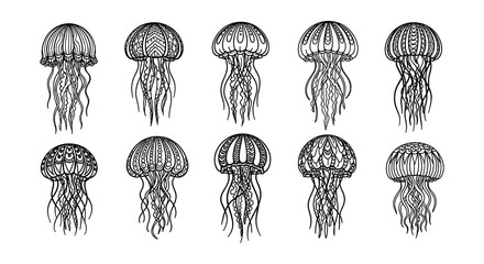 Intricate black and white illustration of various jellyfish designs © nurjahan