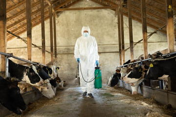 A worker in protective gear walks through a barn where cows are being attended with care. © Dejan