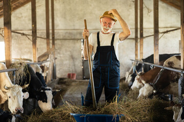 An older farmer stands in a barn holding a pitchfork, smiling as he engages in farming activities.