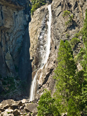 Upper and lower Yosemite falls with a powerful spring water flow in vertical composition