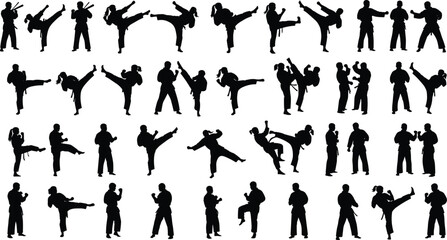 Martial arts silhouettes collection isolated on white background, karate and taekwondo fighters performing kicks and combat poses, self defense sport illustration set © Jamayat