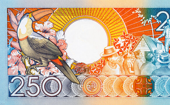 Reverse side 250 Gulden Suriname banknote featuring a Toucan and a social meeting scene. Vintage money of Suriname