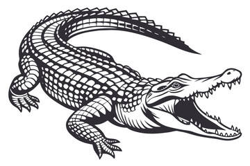 Obraz premium crocodile on a black background