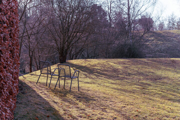 Fototapeta premium Two chairs stand on a gentle grassy slope surrounded by bare trees. Soft golden light enhances the peaceful park setting.
