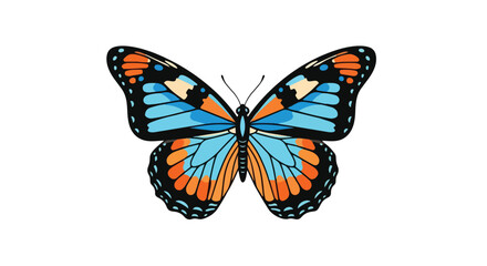Obraz premium Vibrant Blue and Orange Butterfly with Intricate Wing Patterns on a Clean White Background, symbolizing nature's artistry and delicate beauty,