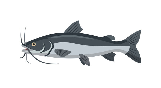 Stylized illustration of a catfish featuring prominent barbels and distinct fins, presented on a clean white background.