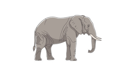 Obraz premium Gray Elephant Illustration with Tusk and Trunk.