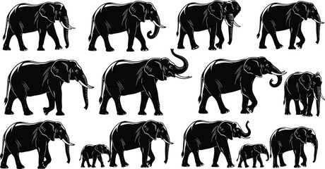 Elephant silhouettes collection, walking elephants and calves, wildlife animals, black vector illustration, safari mammal poses, isolated on white background © Md