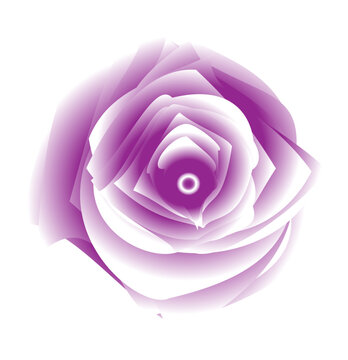 Abstract purple rose flower stylized digital illustration with layered petals and gradient effect isolated on white background for design