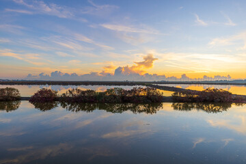 Fototapeta premium Serene Sunrise Reflection Over Salt Fields with Golden Clouds,A peaceful landscape of coastal salt pans or wetlands during a vibrant sunrise. The golden light of the morning sun illuminates dramatic.